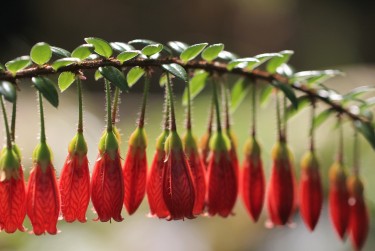 广州天河区私人快速借钱网，轻松解决资金难题