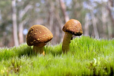 广州天河区私人老板放款：轻松融资的秘密通道